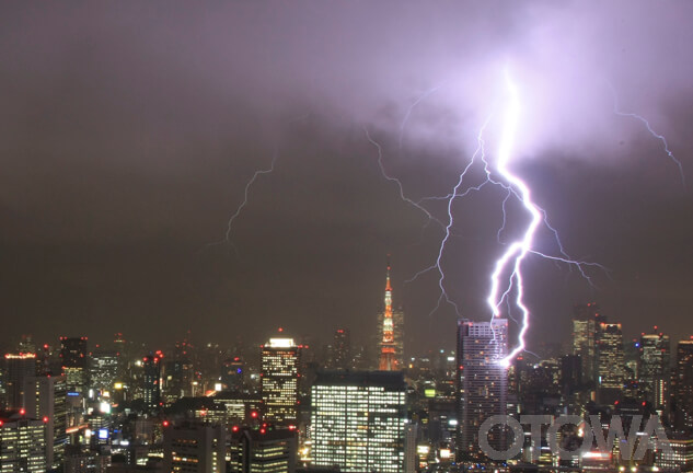The 15th 雷写真コンテスト受賞作品 Fine Work -Tokyo Tower and Lightning-
